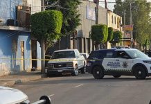 Matan al Gato en su carpintería