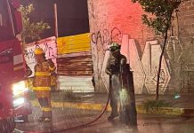 Fiel hasta el final: “Negro” espera a su dueño