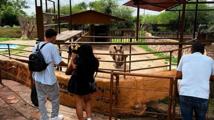 PROFEPA ZOO